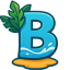 Flashhost icon