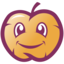 BAGMC icon