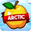 ArcticMC NA icon