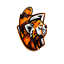Clastienetwork icon