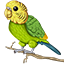Budgie icon