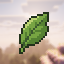 Matchasmp icon