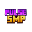 Pulsesmp icon