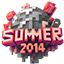 SUMMER2014 icon