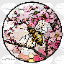 HoneyBlossomSMP icon