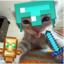 Sektor SMP icon
