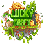 Luckycraft icon